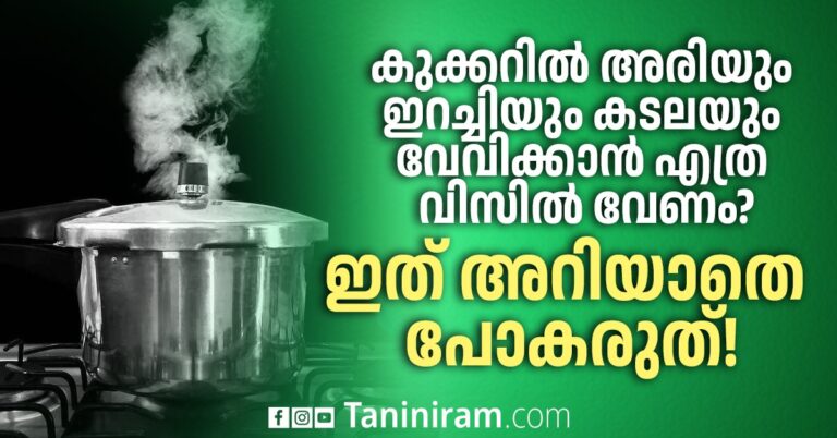 കുക്കറിൽ അരിയും ഇറച്ചിയും കടലയും വേവിക്കാൻ എത്ര വിസിൽ വേണം? ഇത് അറിയാതെ പോകരുത്!