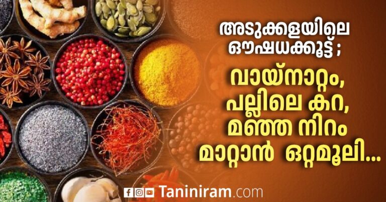 അടുക്കളയിലെ ഔഷധക്കൂട്ട് ; വായ്‌നാറ്റം, പല്ലിലെ കറ, മഞ്ഞ നിറം മാറ്റാൻ ഒറ്റമൂലി…